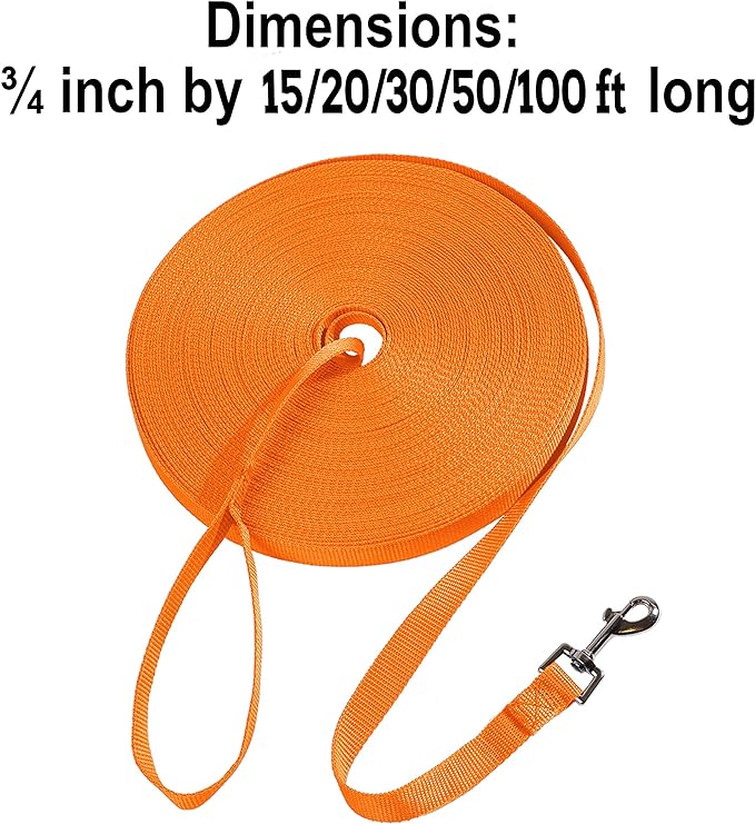 Hi Kiss Dog/Puppy Obedience Recall Training Agility Lead - 15ft 20ft 30ft 50ft 100ft Training Leash - Great for Training, Play, Camping, or Backyard - Orange 100ft