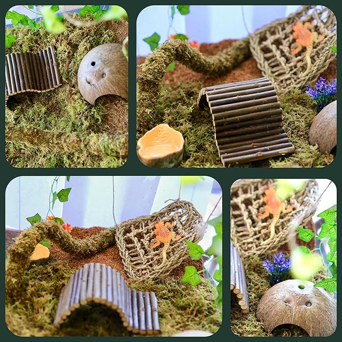 Hermit Crab Accessories – 8PCS Natural Hermit Crab Shells, Coconut Hideout, Climbing Toys Hammock, Moss, Plants & Water Dish, Habitat Decor for Hermit Crabs or Reptile Tank (C-Group-Water Dish).