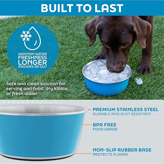Master Pet Supply Stainless Steel Dog Bowls Set of 2 (32 Oz Each) with Non-Slip Rubber Base - Stainless Steel - Basic Dog Food Bowl Water & Food Bowls for Small Medium Large Dogs & Cats, Metal Dish