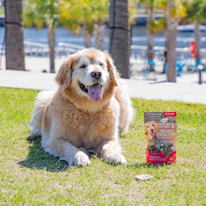 ARK NATURALS Gray Muzzle Heart Healthy Wags Plenty Dog Chews, Vet Recommended for Senior Dogs to Support Heart Muscle, Blood Pressure and Circulation, Natural Ingredients, 60 Count,Red,71002