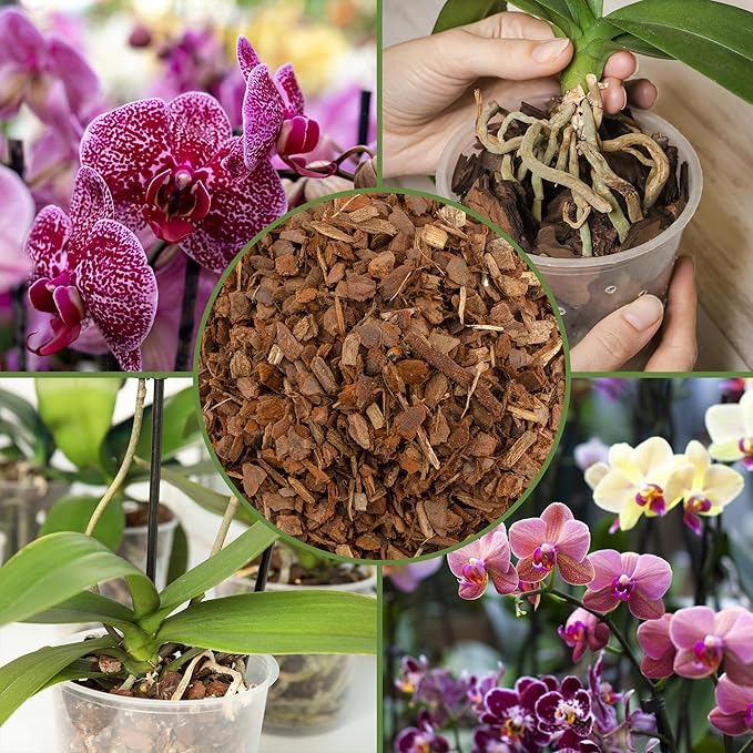 Soil Sunrise 100% Organic Orchid Potting Bark (30 Quarts) All-Natural USA-Sourced Pine Bark Orchid Mix Additive