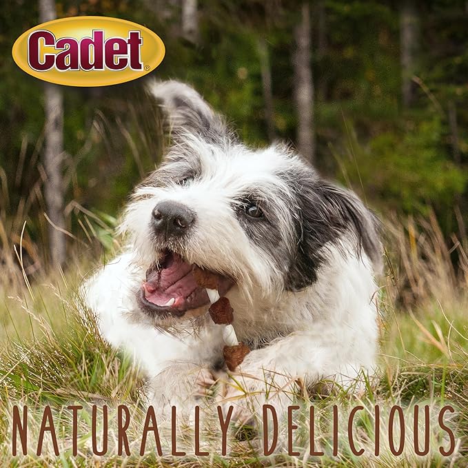 Cadet Gourmet Shish Kabob Dog Treats for Small Dogs, Healthy & Natural Chicken, Duck, & Sweet Potato Chew Sticks, Beef Hide, Small 5 Inch, 4 Ounce (Pack of 1)