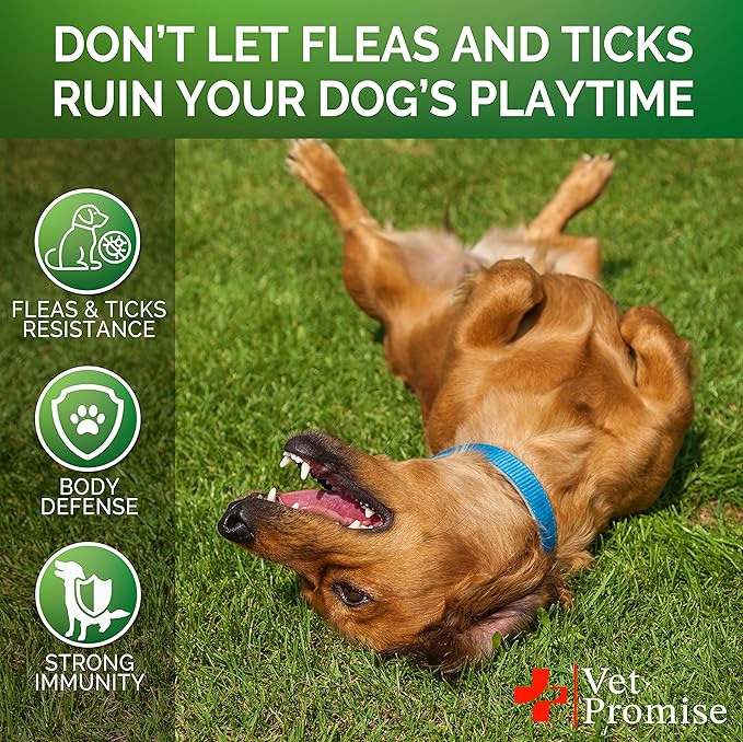 Flea and Tick Prevention for Dogs Chewables - All Natural Flea & Tick Control Chews - Oral Pills for Dogs Supplement - All Breeds and Ages - Made in USA - 120 Tablets