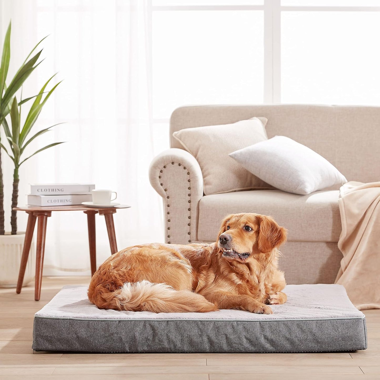 Orthopedic Memory Foam Dog Bed,Cooling Dog Beds for Extra Large Dogs, Washable Pet Beds for Crate with Faux Fur Cover, Waterproof Lining, XXXL(50inch)