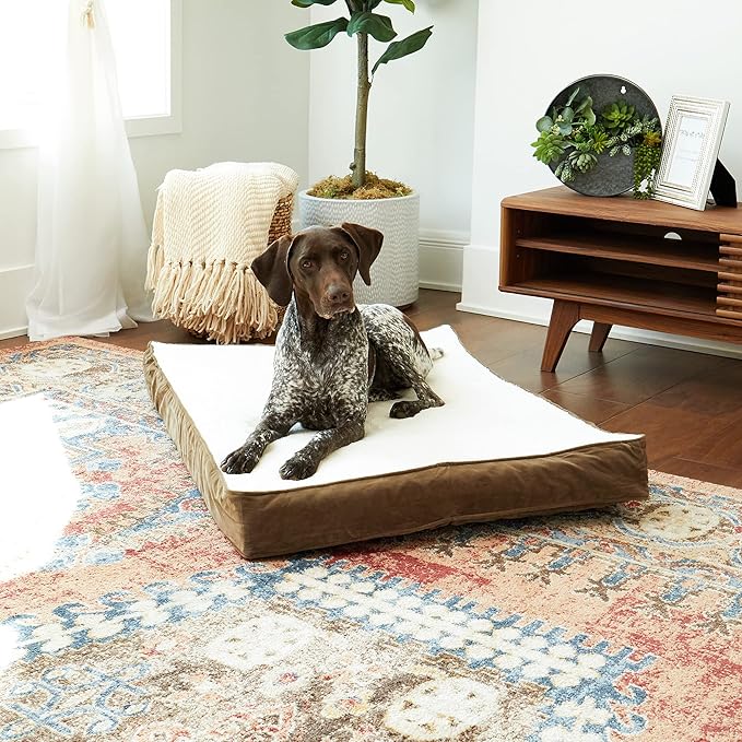 Happy Hounds Oscar Rectangle Orthopedic Foam Sherpa Dog Bed, Medium (42 x 30 in.), Mocha