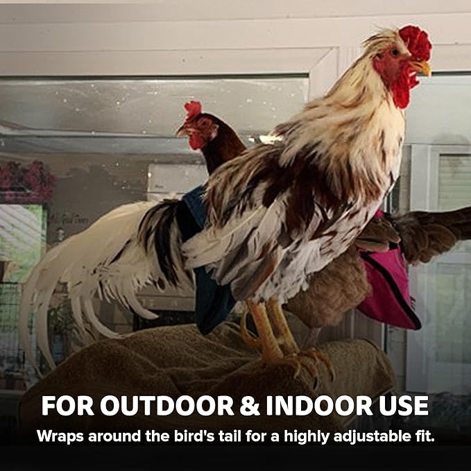 Hen Holster Wrap-Around Bird Diaper & Harness for Hens, Roosters, Ducks, Geese - with Removable Vinyl Liner, Adjustable Fit for Outdoor Adventures & Indoor Use - Easy to wear - Large, Tiger