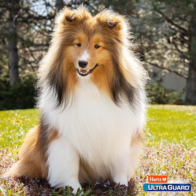 Hartz UltraGuard Pro Flea & Tick Topical Dogs & Puppies Treatment & Prevention, 6 Months, 61-150 lbs