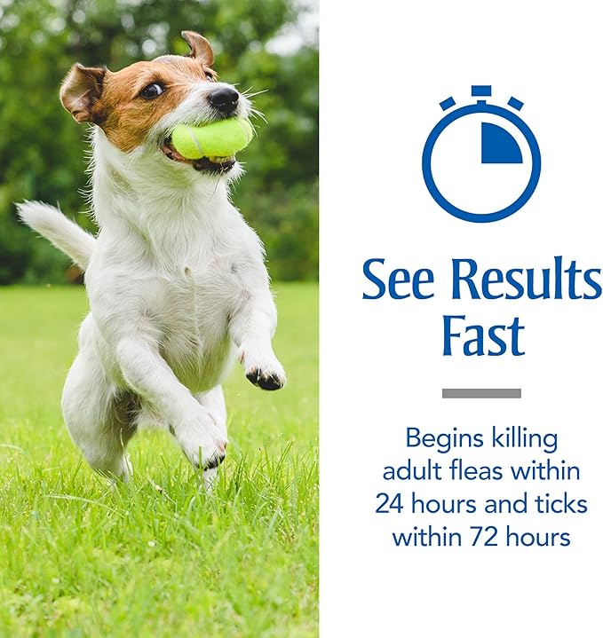 PetArmor for Dogs, Flea and Tick Treatment for Small Dogs (5-22 Pounds), Includes 3 Month Supply of Topical Flea Treatments