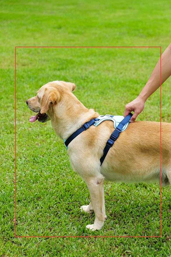 3 in 1 No Pull Dog Harness Leash and Collar Set, Soft Adjustable Dogs Vest Reflective and Comfortable Handle Blue Small