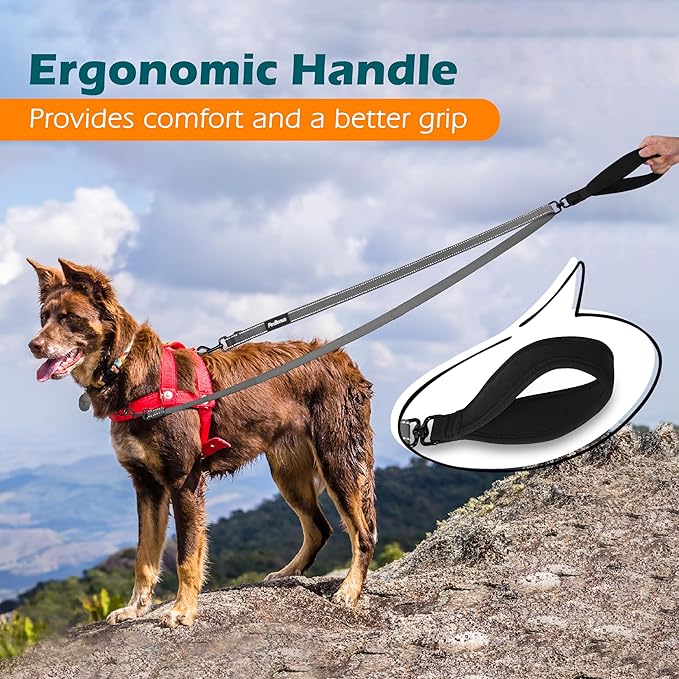 PetBonus Two Point Control Dog Leash, Works with No Pull Harnesses, No Tangle Training Leashes, Soft Padded and Reflective Walking Lead, Converts to Single Lead for Medium Large Dogs (Grey)