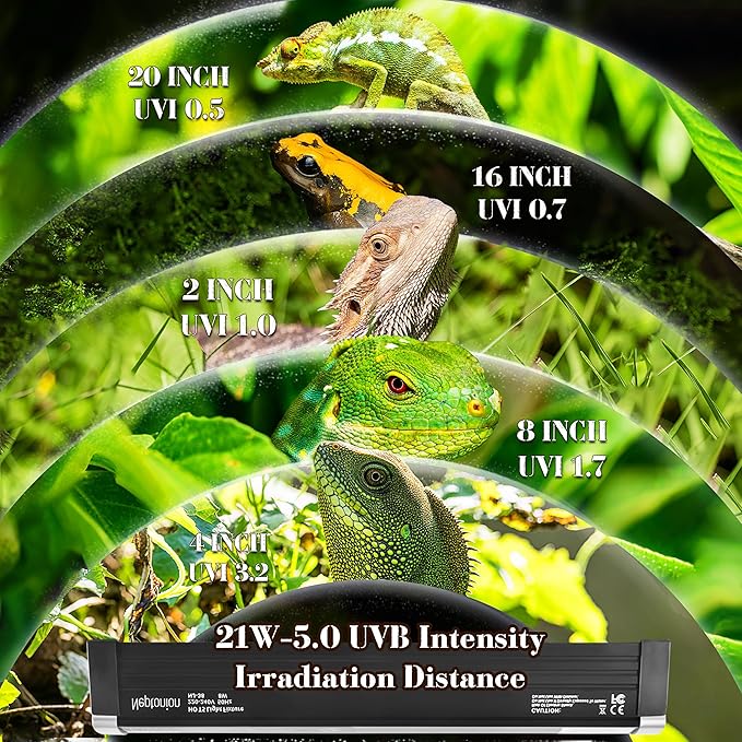T5 Reptile UVB Light 34.5 Inches Fixture with UVB 5.0 Bulb High Output Hood for Terrariums, Basking Reptiles, Lizards, Chameleons, Iguanas, Bearded Dragons, 21W