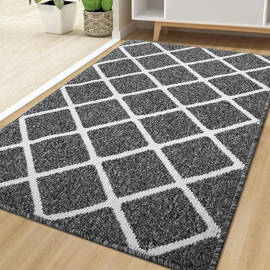 Finchitty Indoor Door Mat, Dirt Resistant and Absorbent, Low-Profile, Washable