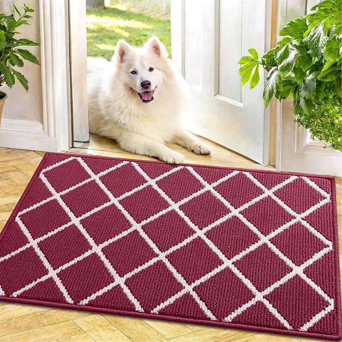 Finchitty Indoor Door Mat, Dirt Resistant and Absorbent, Low-Profile, Washable