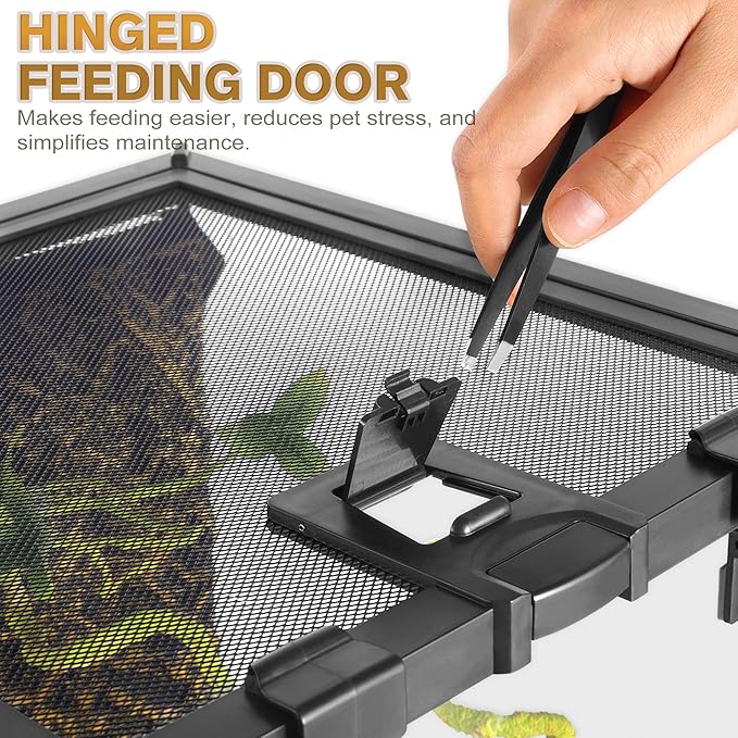 Mini Reptile Glass Terrarium Vivarium 8'' x 8'' x 6'' Full View Tank Small Amphibians Glass Habitat Cage with Feeding Slot & Box Lock Buckle