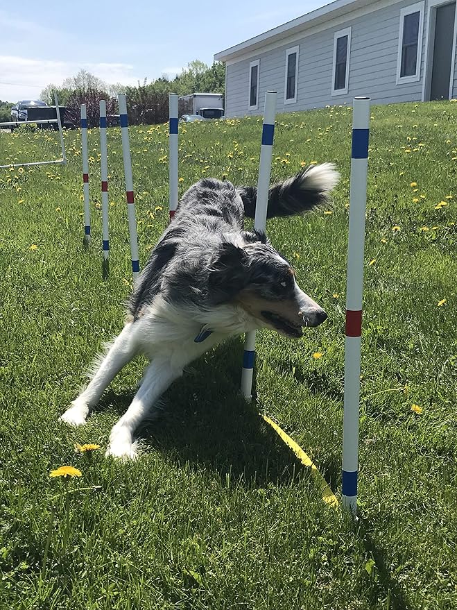 Dog Agility Training Equipment Course Set, Weave Poles, Dog Agility Jump with Dog Agility Jump Cups and Tire Jump