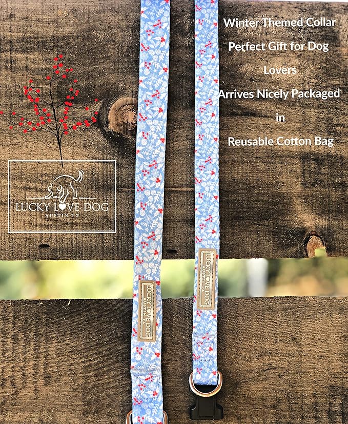 Lucky Love Dog Dog Collar, Leash Set Small, Premium, Cute and Adjustable Collars for Male and Female Dogs, Winterblue Combo, Small
