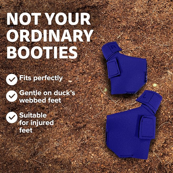 Duck Shoes for Injured Feet – Protective Neoprene Footwear for Ducks, Protective Shoes for Birds with Injured feet, Bumblefoot Relief - Small, 2.5’’ Max. Inside Width - Royal Blue