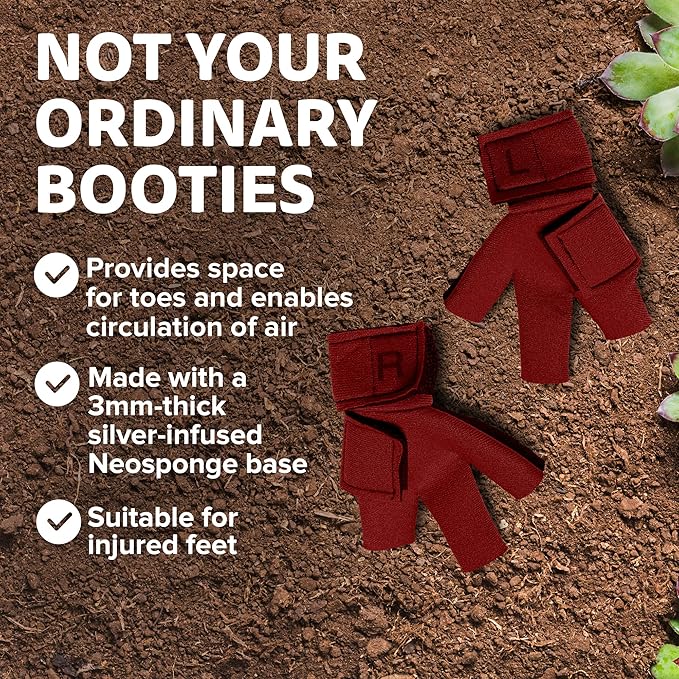 Chicken Shoes for Injured Feet – Protective Neoprene Footwear for Chicken, Open-Toe Design for Bumblefoot Relief, Made in USA - Standard, 3" Max. Inside Width, Red