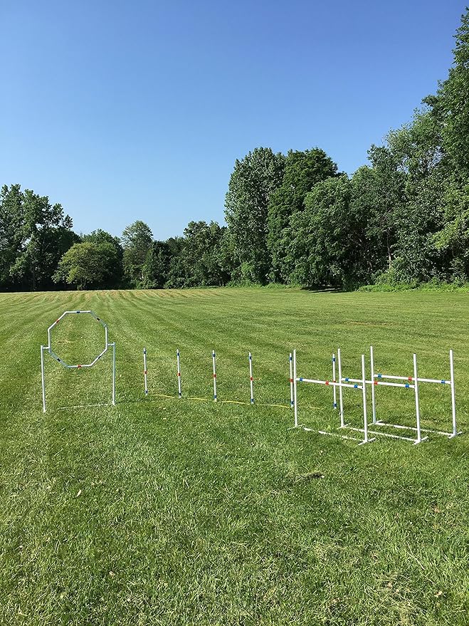 Dog Agility Equipment Deluxe Beginner Set, 3 Bar Jumps, 6 Weave Poles,1 Octagon Hoop Jump Agility Course for Dogs