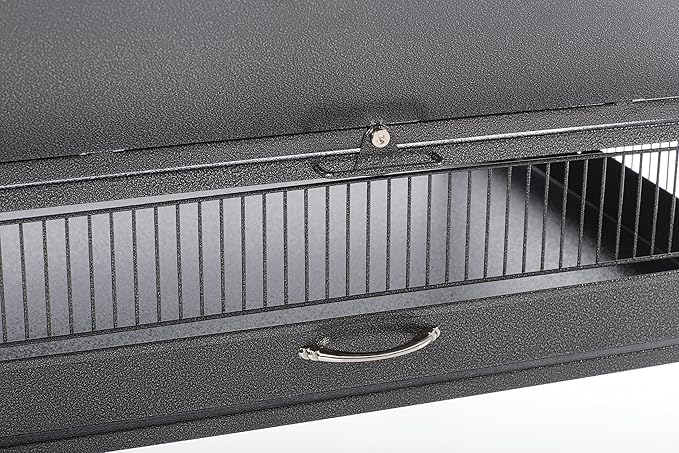 Prevue Pet Products 3352BLK Park Plaza Bird Cage, Black Hammertone, Large
